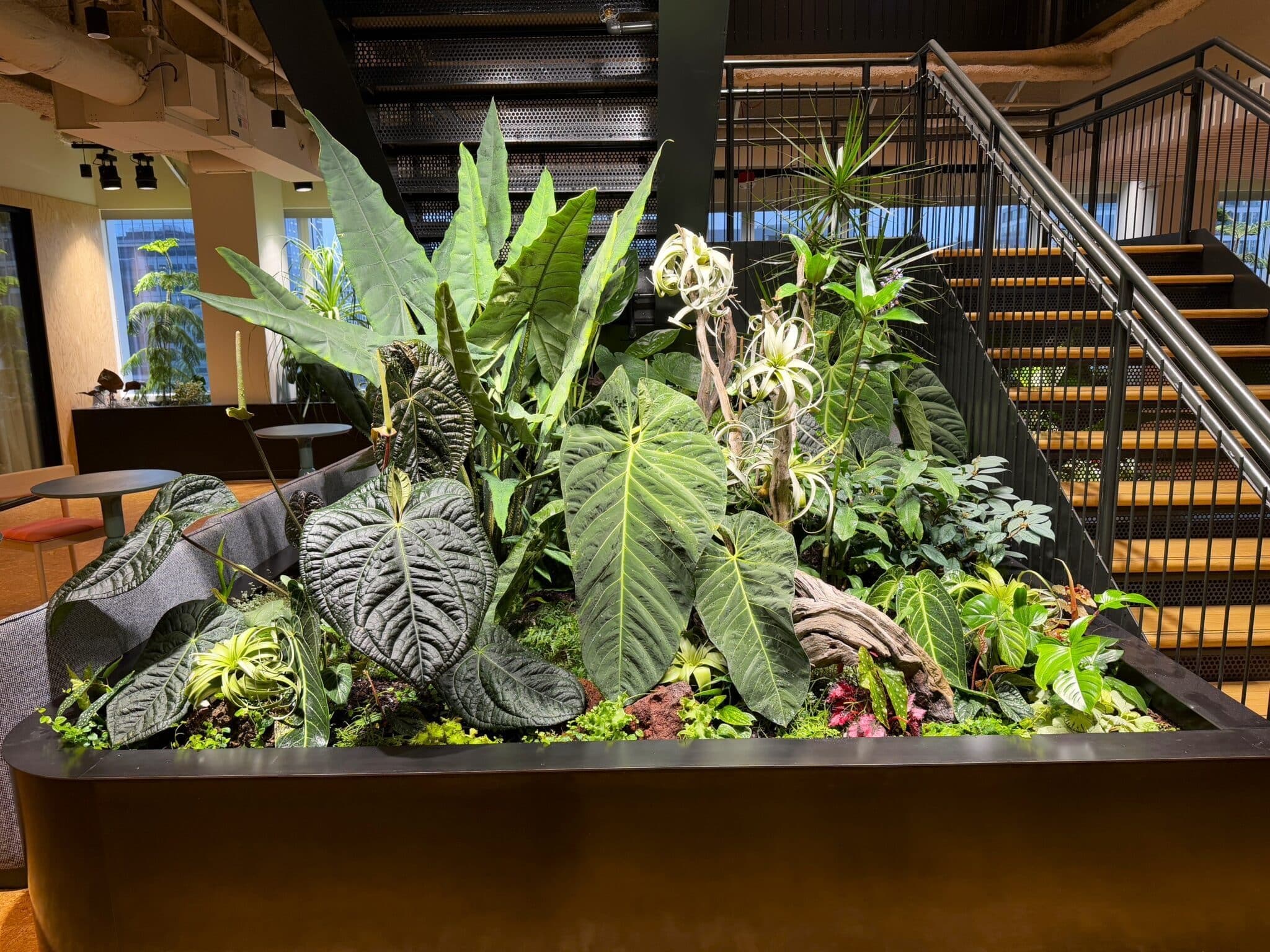 Double-height commercial atrium filled with mature interior trees and layered understorey planting.