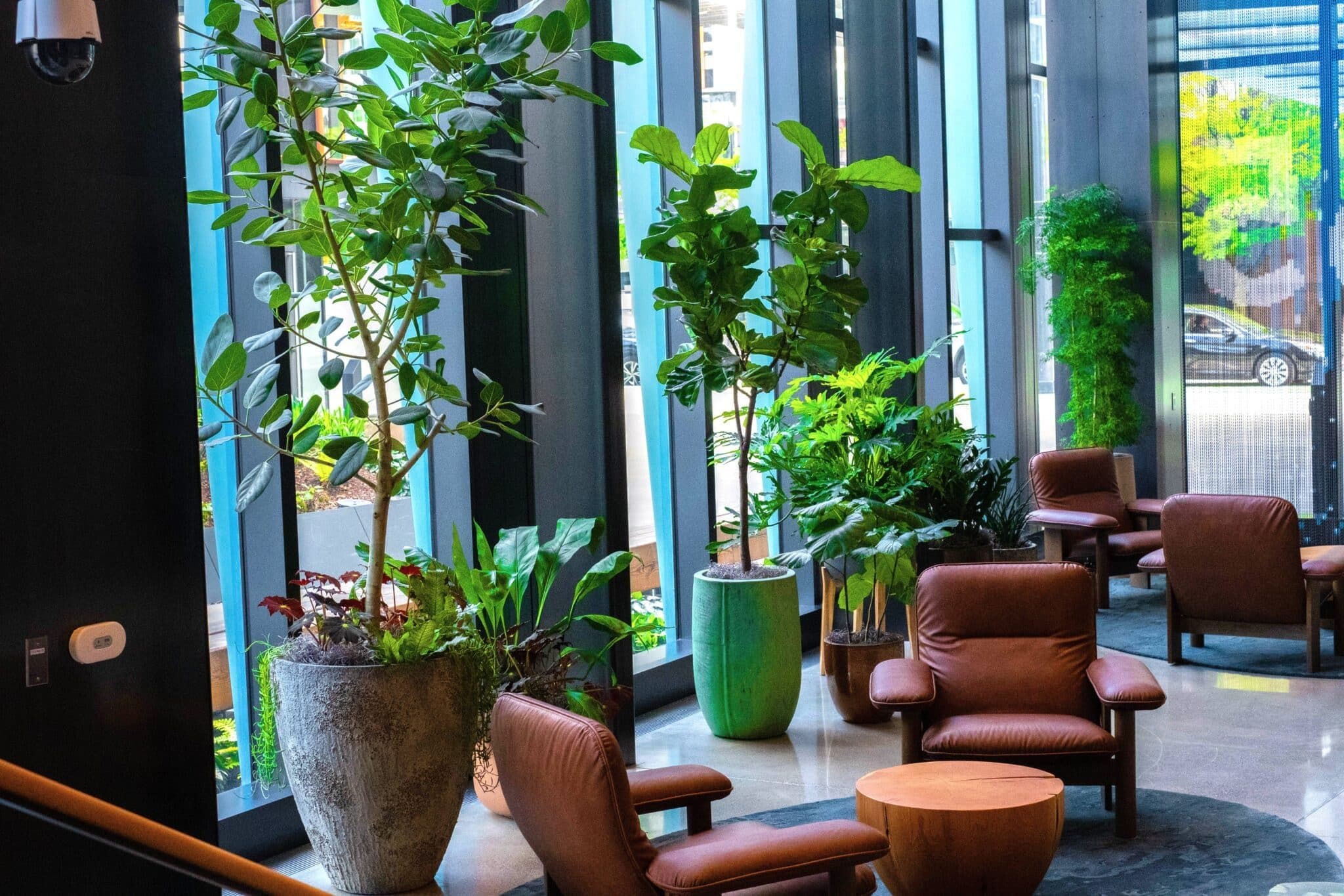 Open-plan workplace with freestanding sculptural planters and layered tropical foliage.