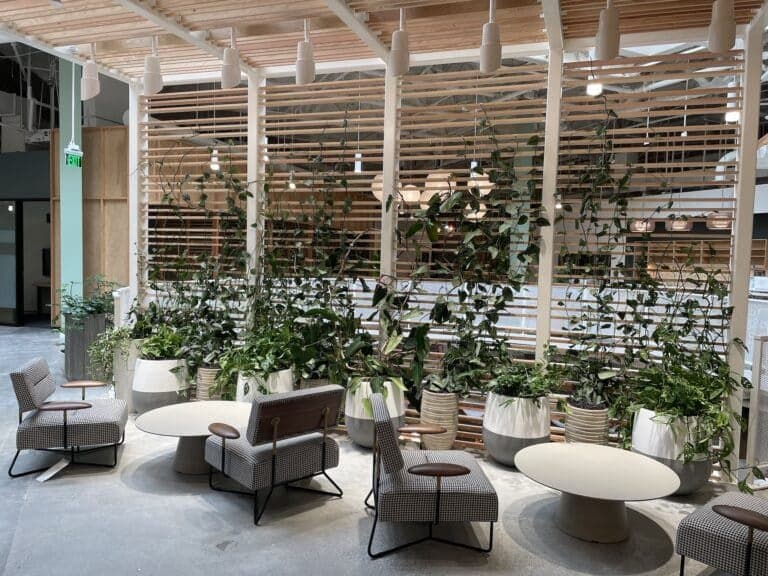Contemporary furniture showroom styled with sculptural potted plants throughout.