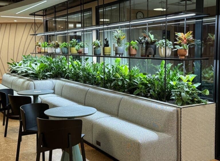 Office interior with trailing greenery arranged across open shelving above a workspace.
