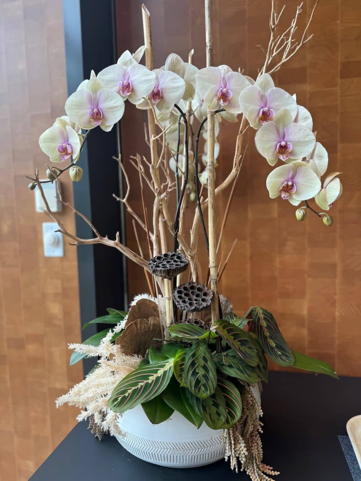 Sculptural arrangement of white orchids, dried lotus pods and maranta foliage in a tall interior display.