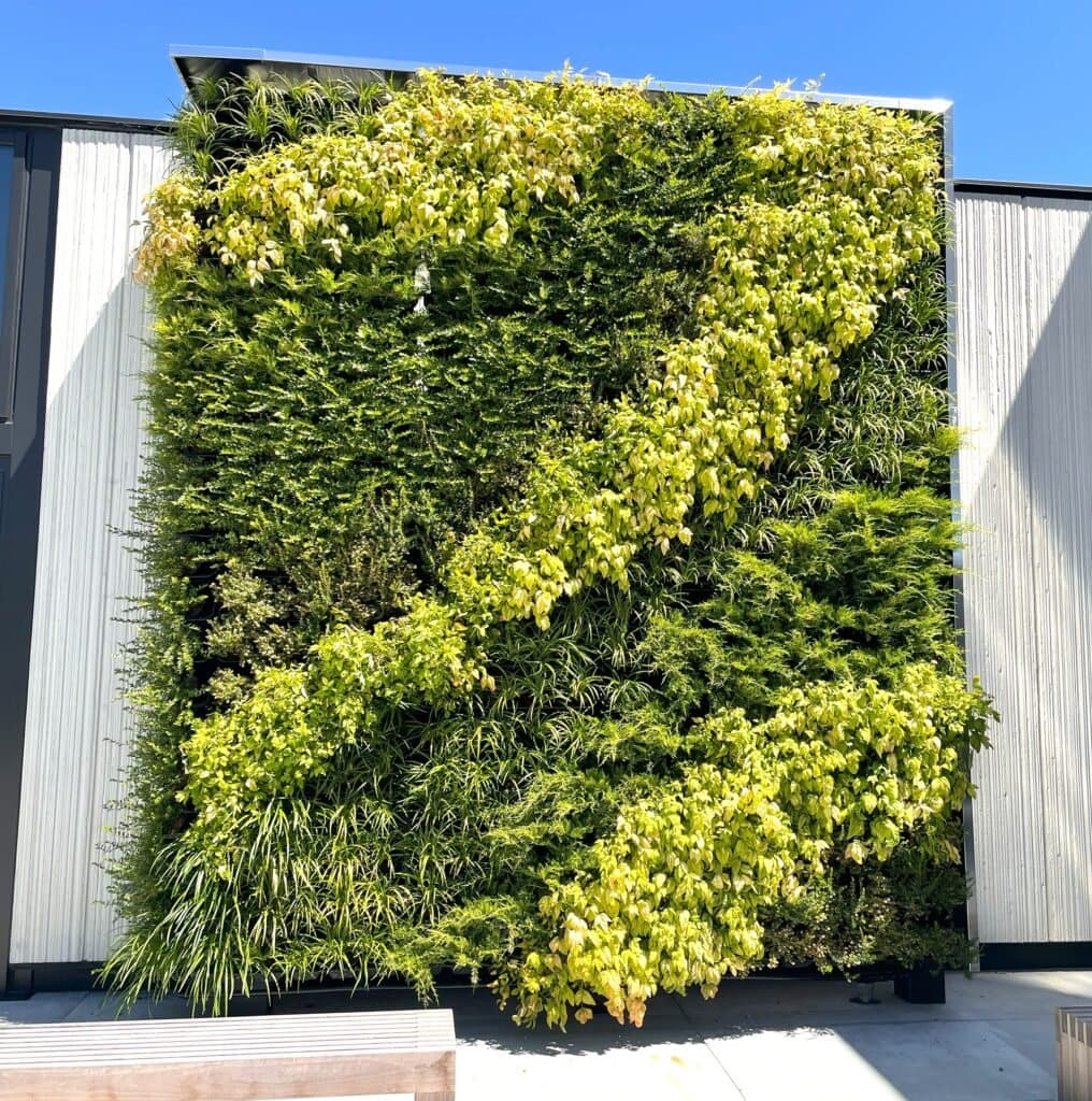 Large exterior living wall of chartreuse and deep green foliage planted in a bold sweeping pattern against a metal clad building.